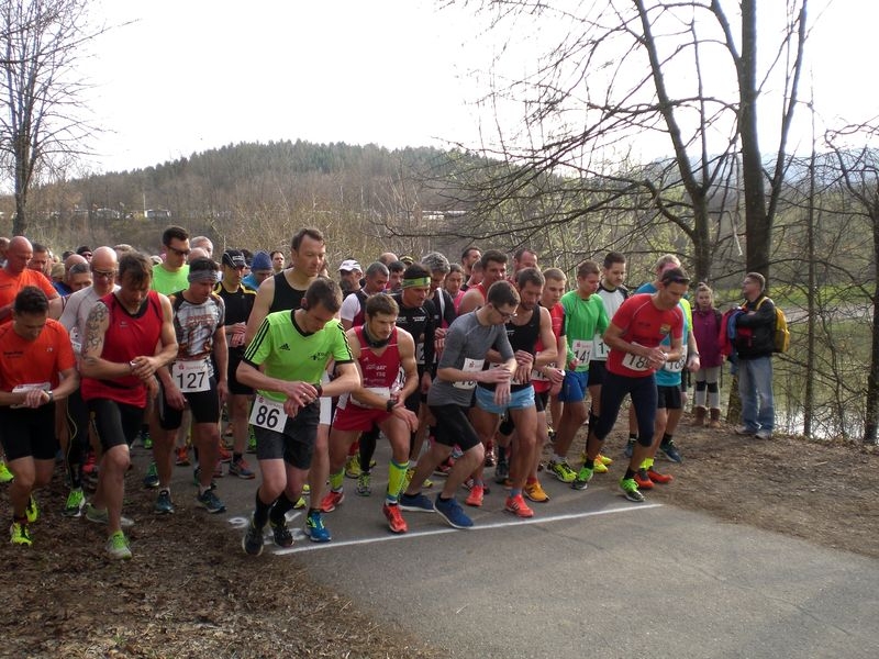 Silberdistel-Albcup-Serie