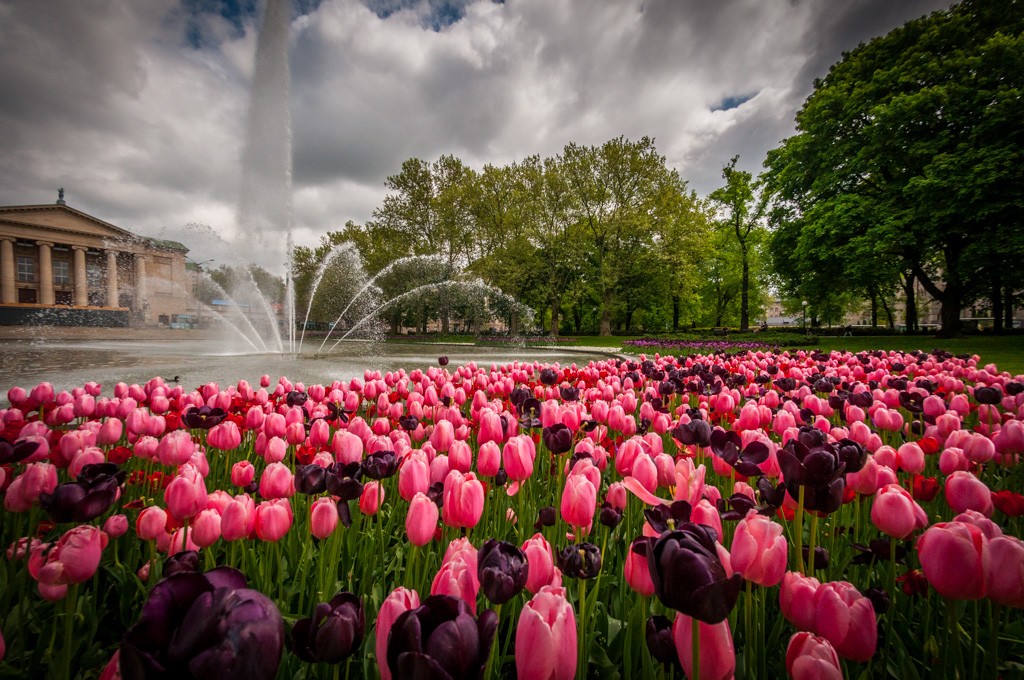 Wyniki Ironman 70.3 Poznań