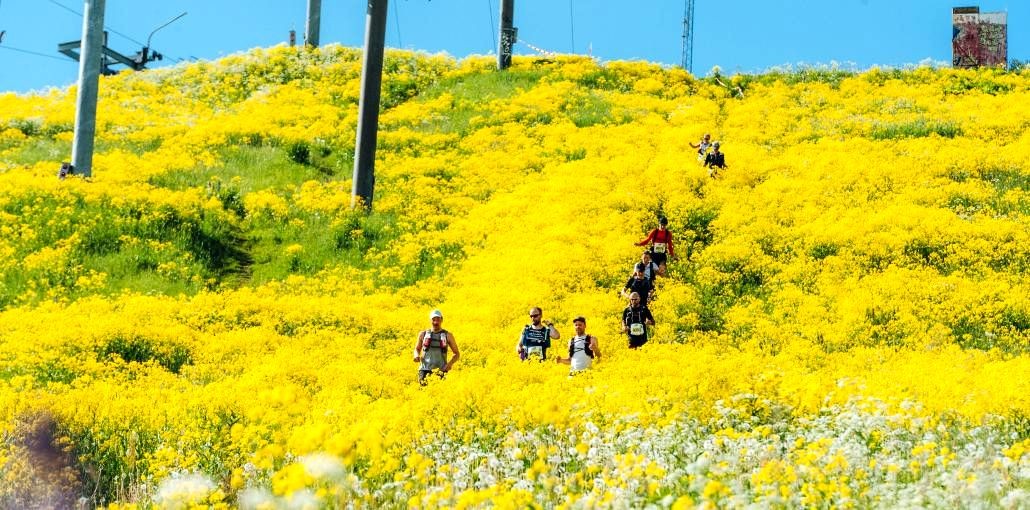 Ultralopp i Sverige - datum