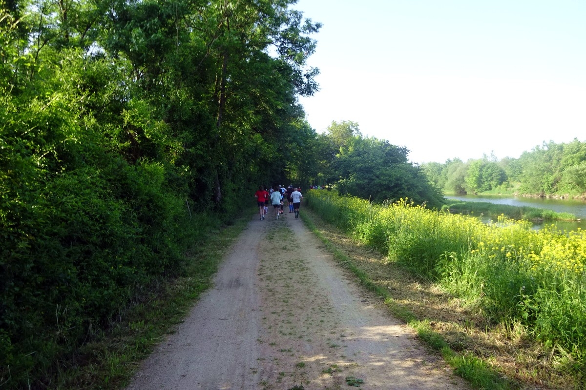 2 Herzogenburg Marathon 74 1685290164