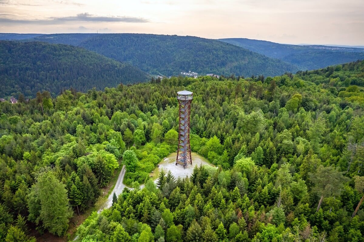 Nordschwarzwald Triathlon