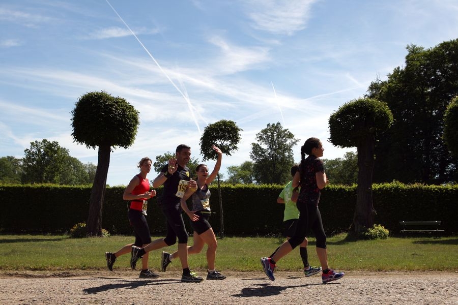 Pro Potsdam Schlösserlauf - Lauftveranstaltung in Brandenburg