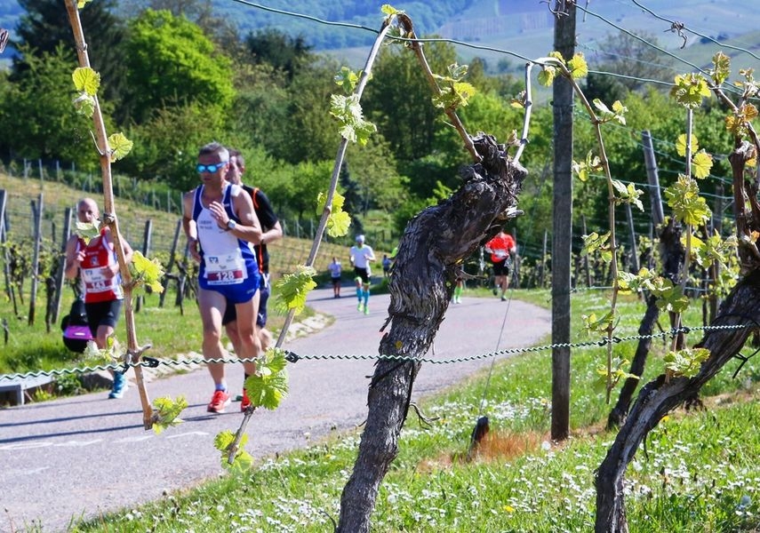 Heilbronn Marathon Strecke
