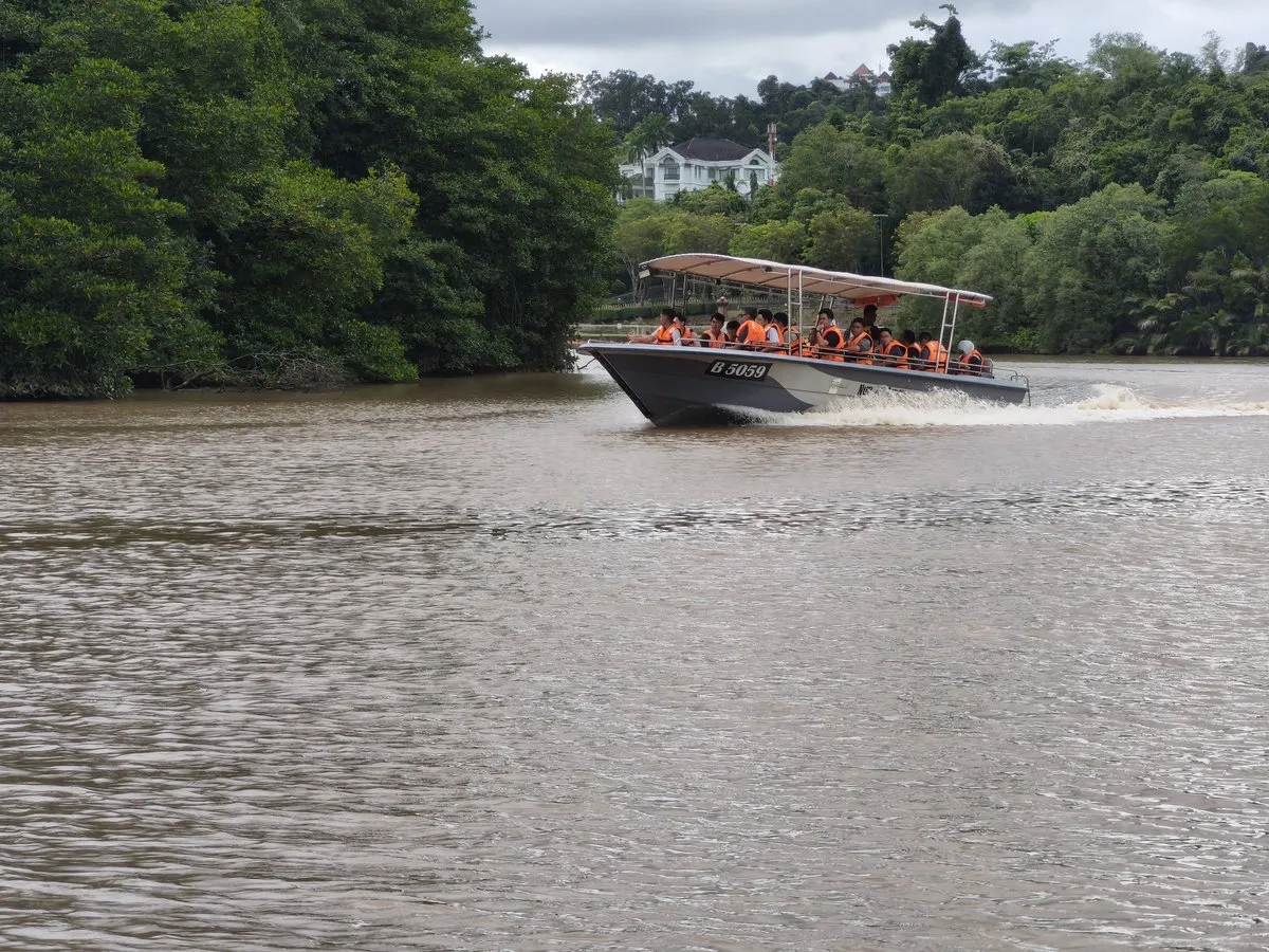 Brunei Marathon: 15 Mangrovenwäldern