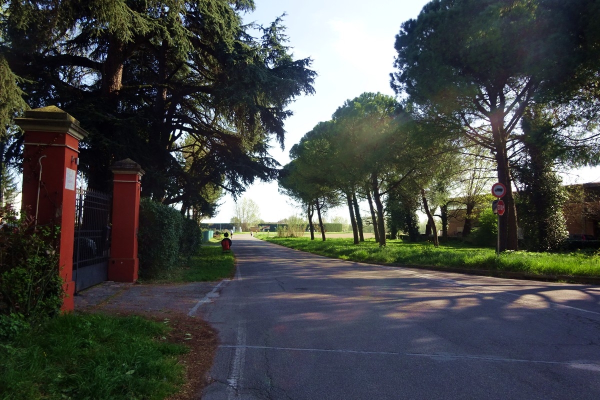 Maratona Del Lamone 45 1680557930