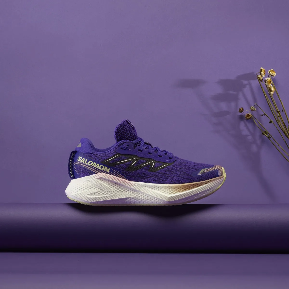 Salomon Aero Glide 4