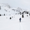 Skitour Tonigenkogel 02: Nach der Waldpassage ist das flache Sulzkar auf über 2.000 Metern Höhe erreicht.