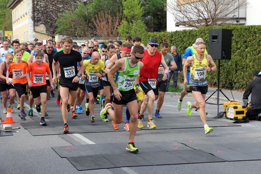 Trumauer-Lauferlebnis-2018-IMG_0539 Trumauer-Lauferlebnis-2018-IMG_0539