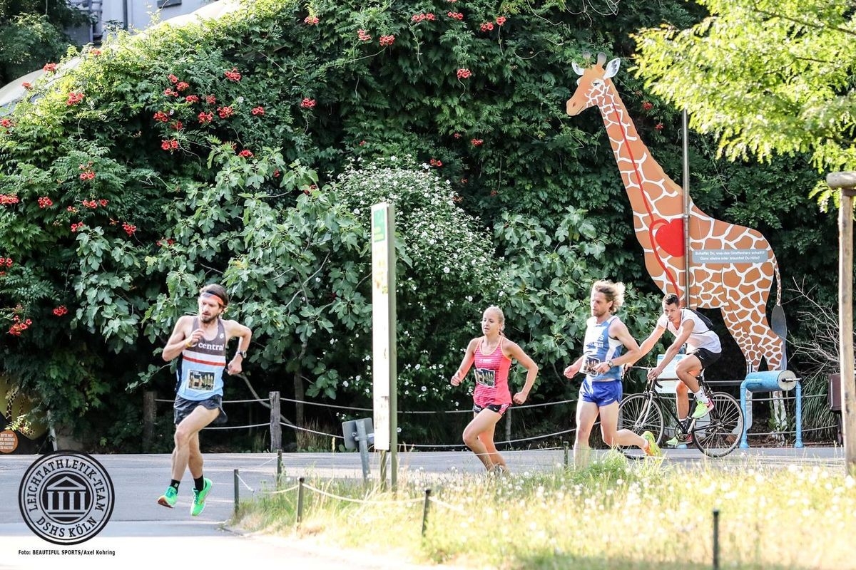 Kölner Zoolauf, Foto: Veranstalter Kölner Zoolauf, Foto: Veranstalter