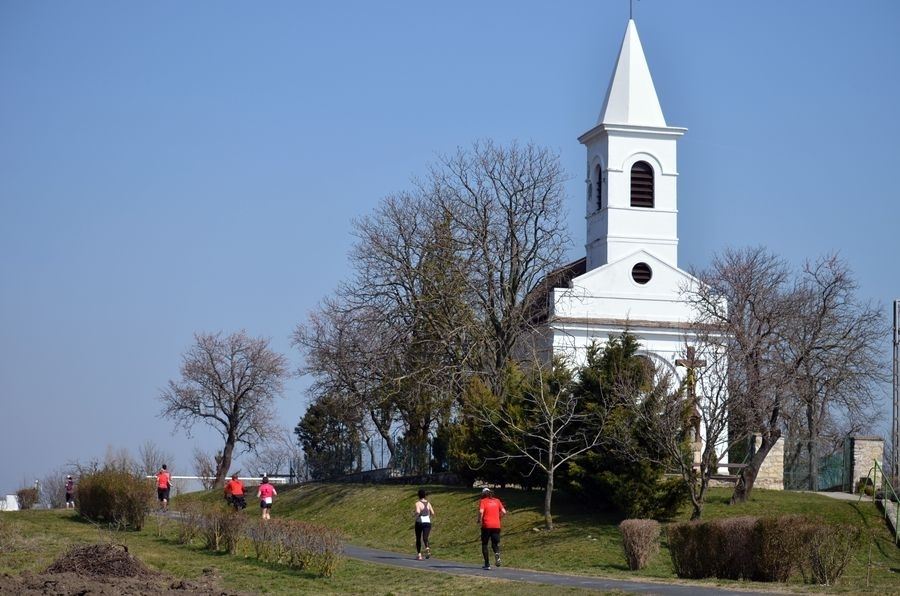 Balaton Supermarathon (C) Organizer Balaton Supermarathon (C) Organizer