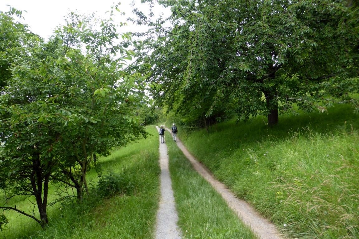 Kayher Wandertag, Foto: Veranstalter Kayher Wandertag, Foto: Veranstalter