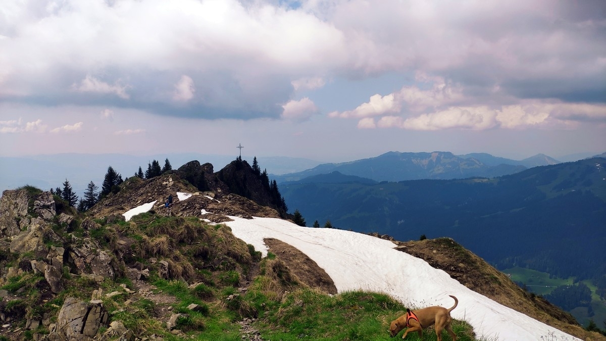 Hochgerach (Laternser Gipfel) Hochgerach (Laternser Gipfel)
