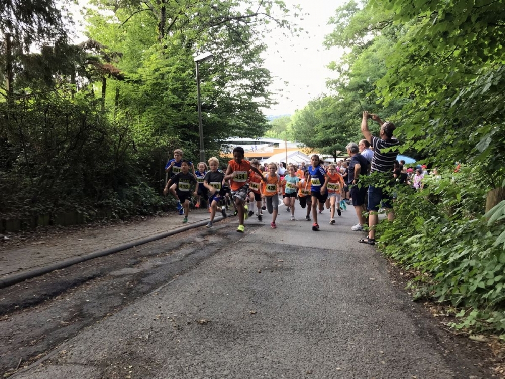 Lorsbacher Schinderwaldlauf (C) Veranstalter Lorsbacher Schinderwaldlauf (C) Veranstalter