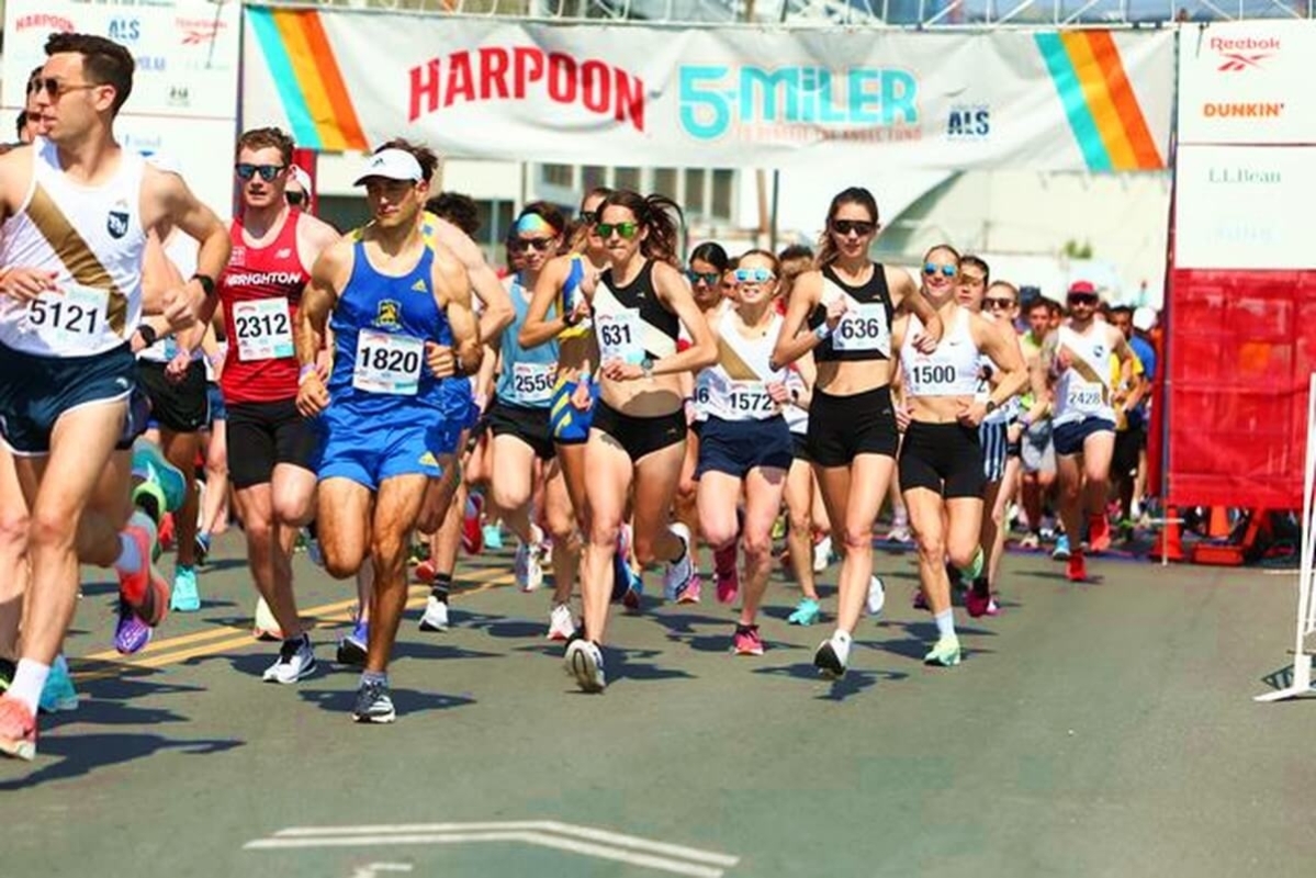 Harpoon 5-Miler, Foto: Veranstalter Harpoon 5-Miler, Foto: Veranstalter