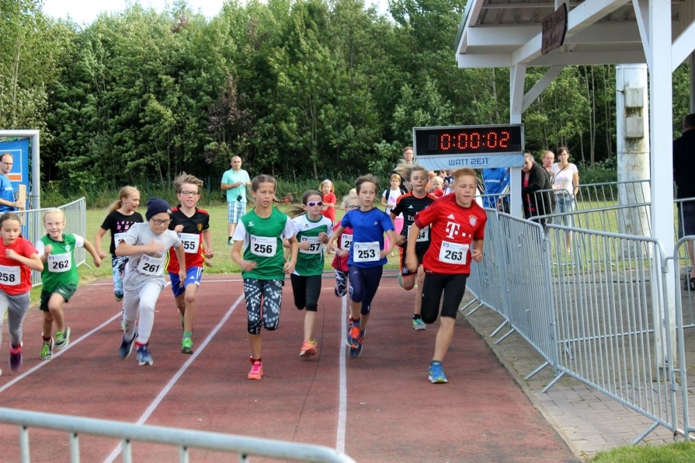 Ihlienworther Brückenlauf (C) Veranstalter Ihlienworther Brückenlauf (C) Veranstalter