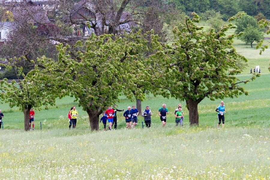 Blauen-Berglauf (C) Veranstalter Blauen-Berglauf (C) Veranstalter