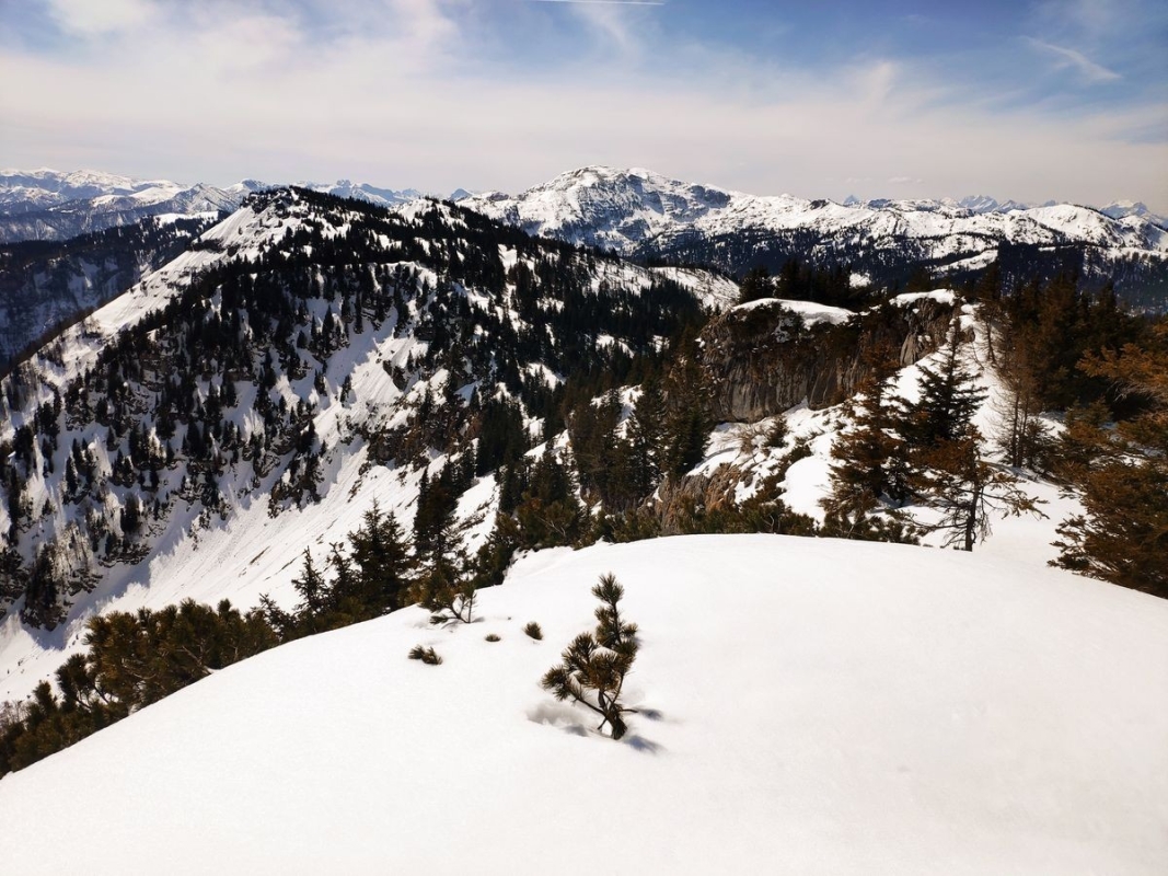 Blick vom Scheiblingstein zum Bärenleitenkogel Blick vom Scheiblingstein zum Bärenleitenkogel