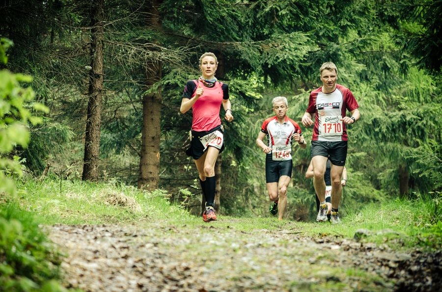 Zittauer Gebirgslauf & Wandertreff (C) Veranstalter Zittauer Gebirgslauf & Wandertreff (C) Veranstalter