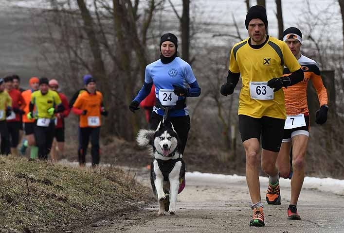Bockfließer Crosslauf 2017 (C) newetschny.com Bockfließer Crosslauf 2017 (C) newetschny.com