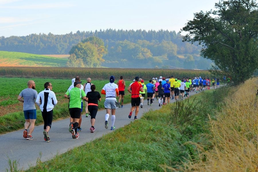 KRAICHGAU-Lauf (C) Veranstalter KRAICHGAU-Lauf (C) Veranstalter
