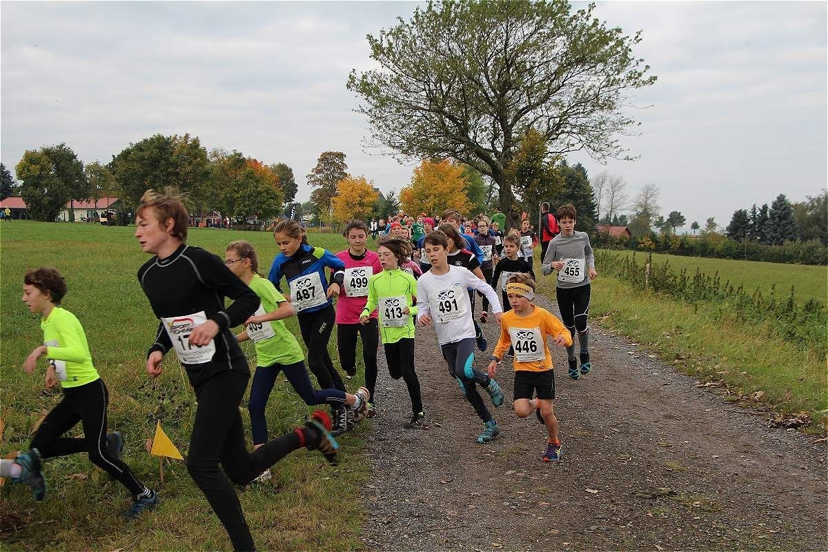 Weisseritztallauf Röthenbach, Foto: Veranstalter Weisseritztallauf Röthenbach, Foto: Veranstalter