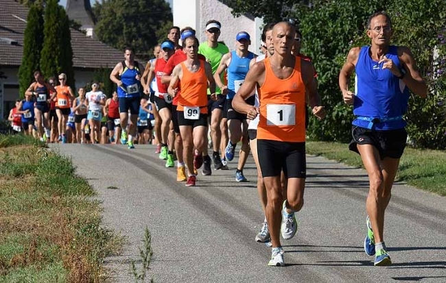 Neusiedler Windradllauf (C) newetschny.com Neusiedler Windradllauf (C) newetschny.com