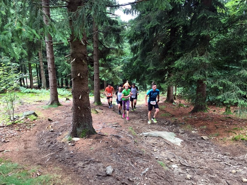 Hirschenstein Berglauf (C) Veranstalter Hirschenstein Berglauf (C) Veranstalter