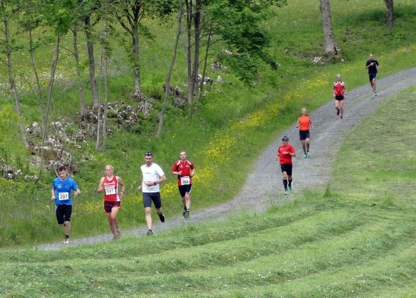 Osterburglauf Bischofsheim (C) Veranstalter Osterburglauf Bischofsheim (C) Veranstalter