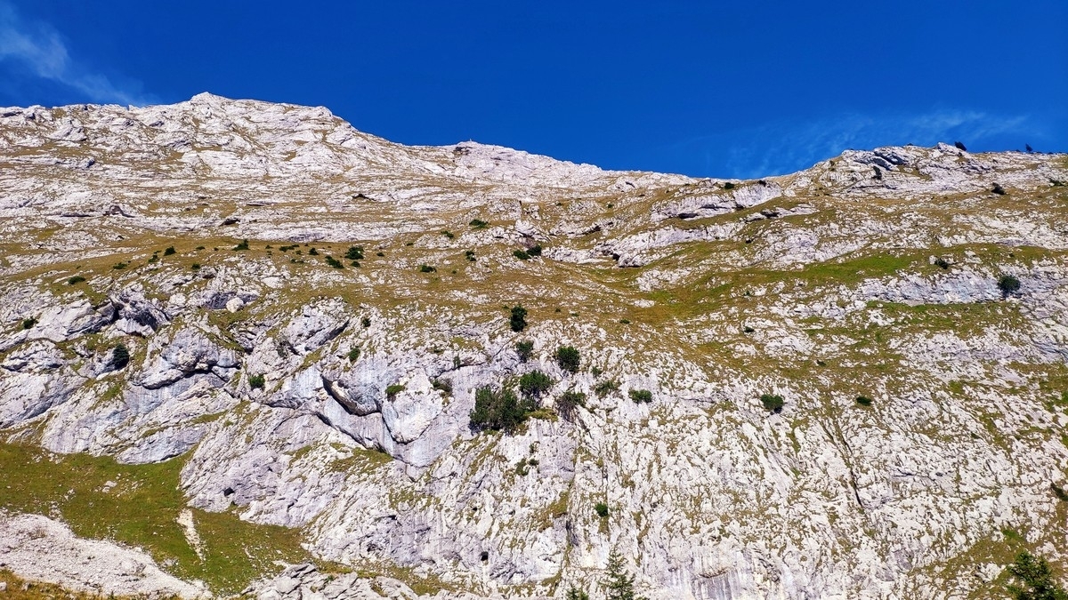 Hochplatte (Ammergau) Hochplatte (Ammergau)