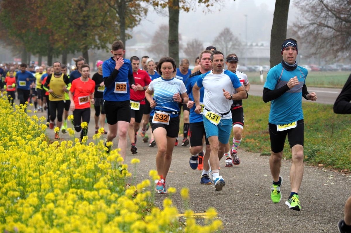 Steinheimer Geologenlauf, Foto: Veranstalter Steinheimer Geologenlauf, Foto: Veranstalter