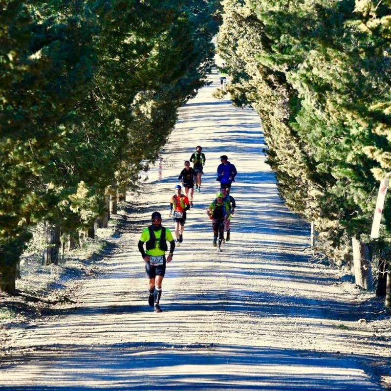 Chianti Ultra Trail, Foto: Veranstalter Chianti Ultra Trail, Foto: Veranstalter