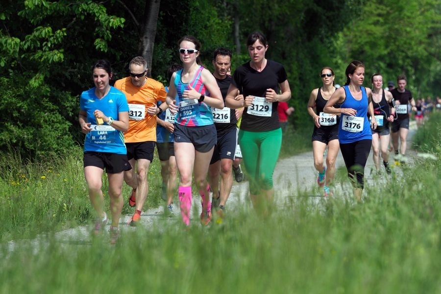 Flughafenlauf Kloten (C) Veranstalter Flughafenlauf Kloten (C) Veranstalter