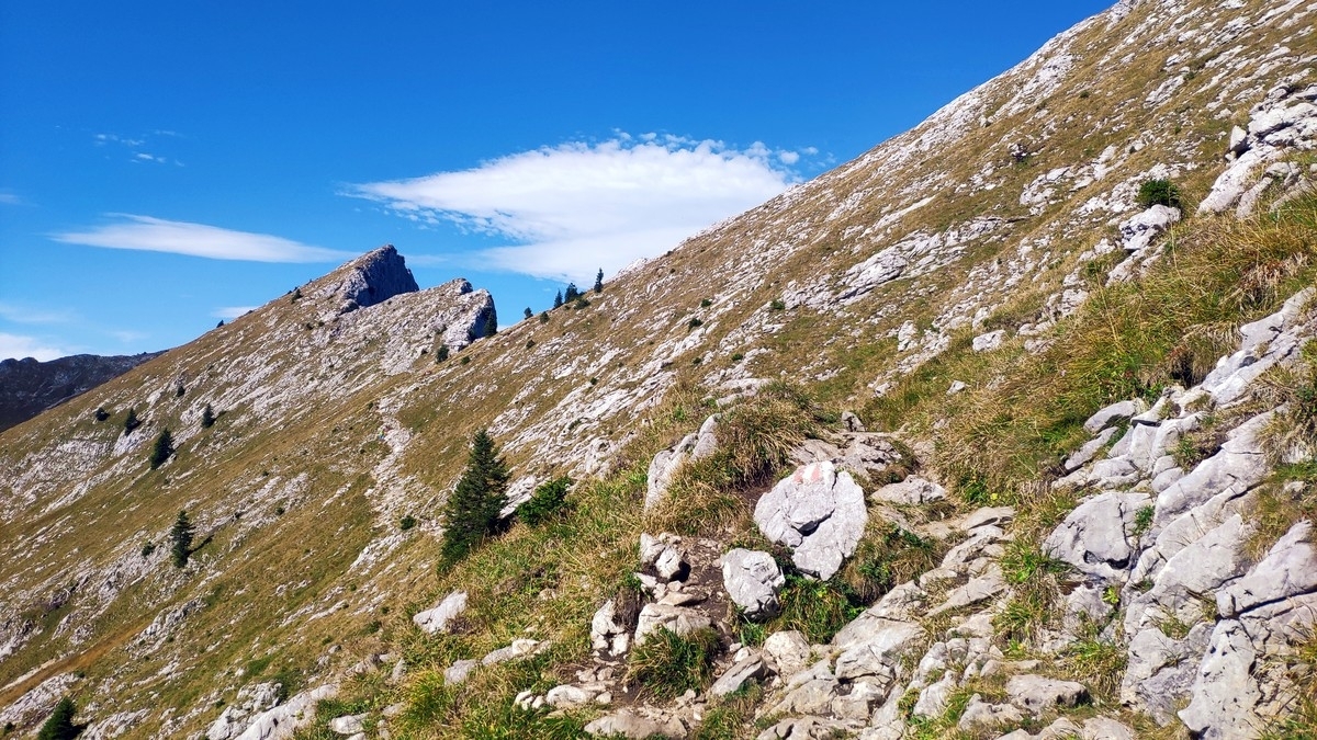 Krähe Berg im Jahr 2023 Krähe Berg im Jahr 2023