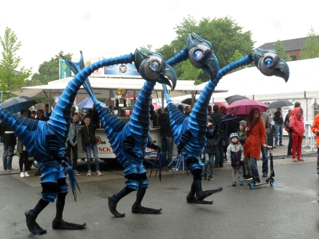 Riesenbecker Sixdays, Foto: Veranstalter Riesenbecker Sixdays, Foto: Veranstalter