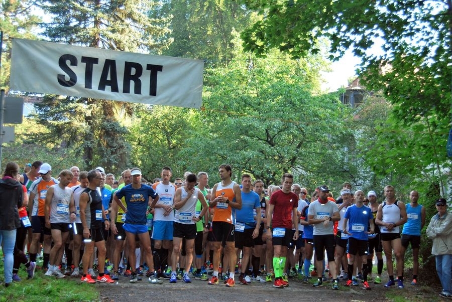 Oberholzer Volkssportlauf (C) Veranstalter Oberholzer Volkssportlauf (C) Veranstalter