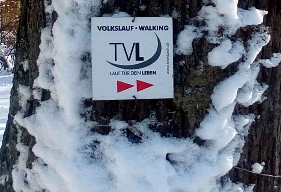 Winterlaufserie Hofheim-Lorsbach (c) Veranstalter Winterlaufserie Hofheim-Lorsbach (c) Veranstalter