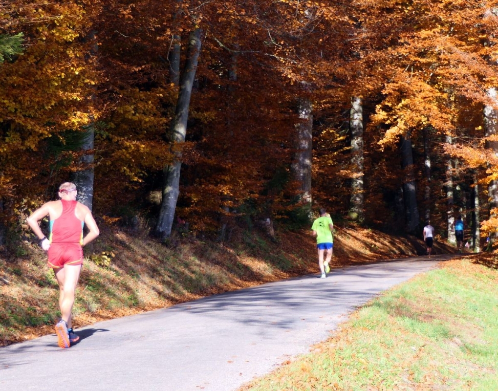 Lueglauf, Foto: Veranstalter Lueglauf, Foto: Veranstalter