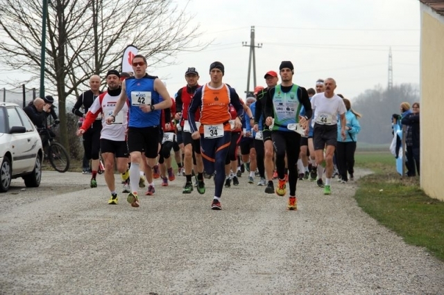 Traisentalhalbmarathon (C) Veranstalter Traisentalhalbmarathon (C) Veranstalter