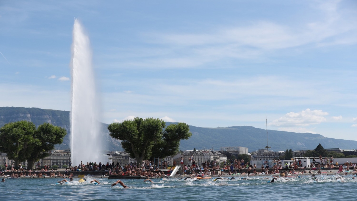 Tri_geneve17_256 (1) Tri_geneve17_256 (1)