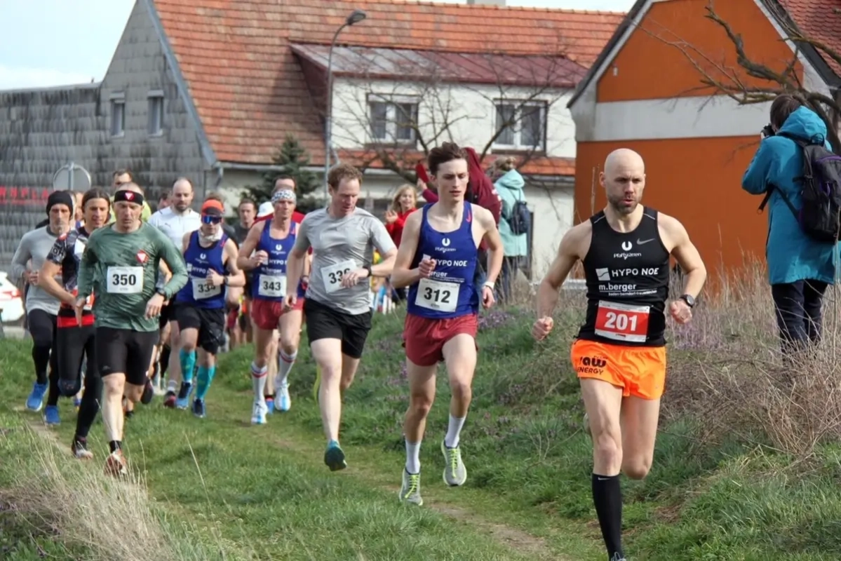 Pfaffstättner Weinberg-Crosslauf 2024 Pfaffstättner Weinberg-Crosslauf 2024