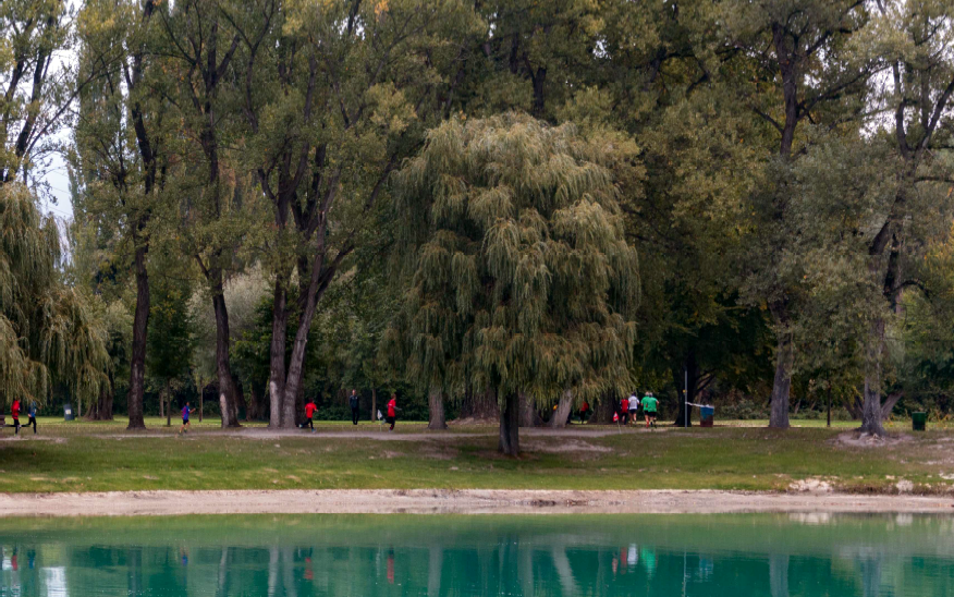 Mini-marathon des Iles (C) Veranstalter Mini-marathon des Iles (C) Veranstalter