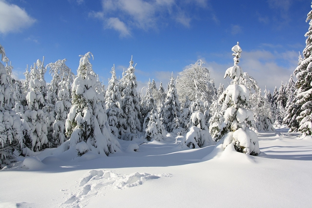 Erbeskopf im Winter, Foto Pixabay Erbeskopf im Winter, Foto Pixabay