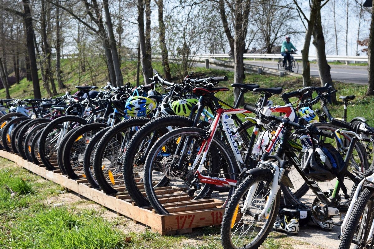 Süwag Energie Cross-Duathlon Kleinostheim, Foto: Veranstalter Süwag Energie Cross-Duathlon Kleinostheim, Foto: Veranstalter