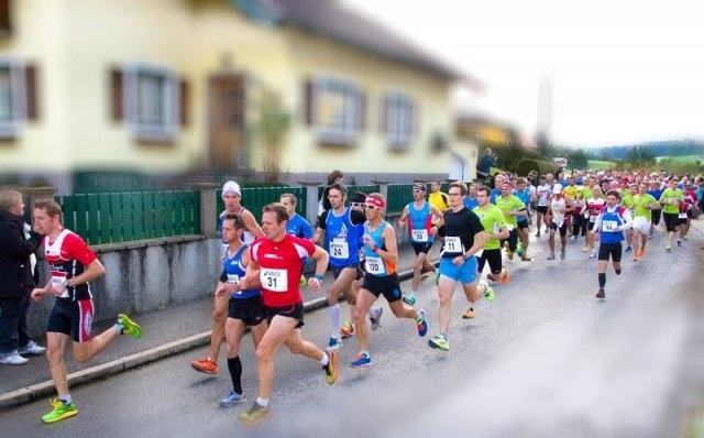 Herbst-Rosen-Trophy (C) Veranstalter Herbst-Rosen-Trophy (C) Veranstalter