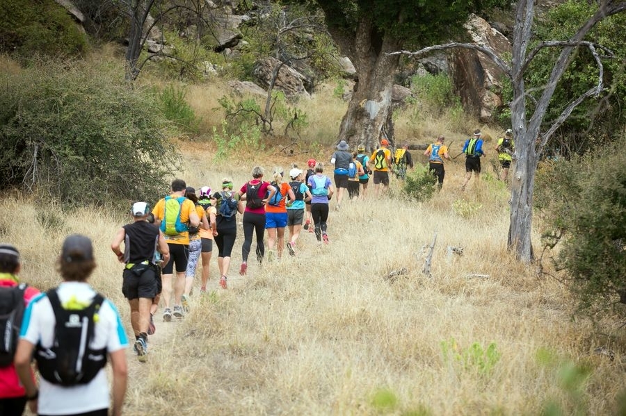 Foto (C) Mark Sampson / Mapungubwe Transfrontier Wildrun Foto (C) Mark Sampson / Mapungubwe Transfrontier Wildrun
