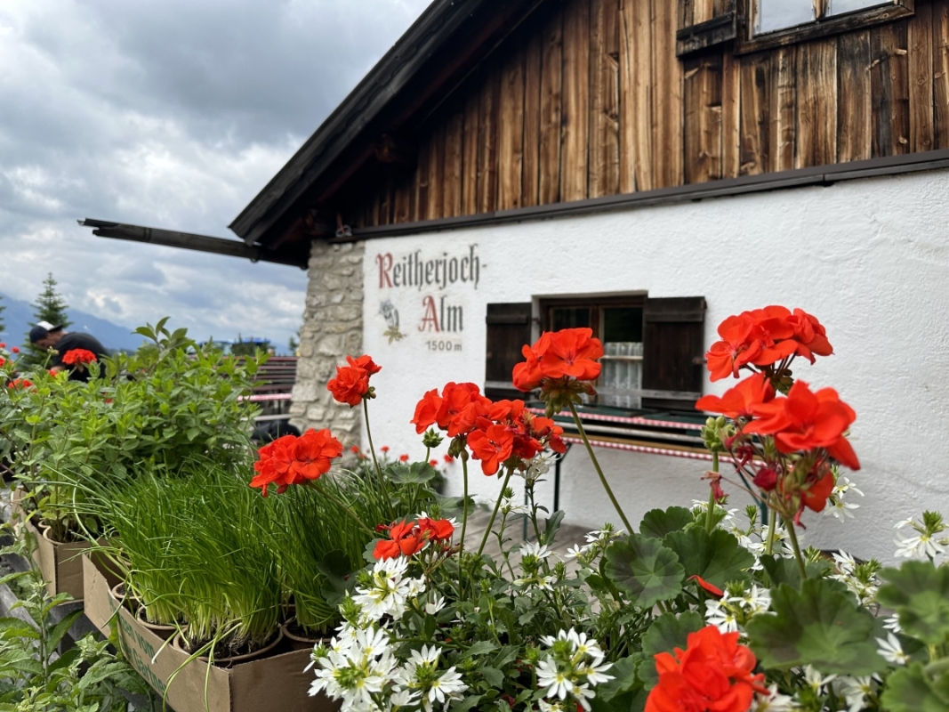Reitherjoch Alm Reitherjoch Alm