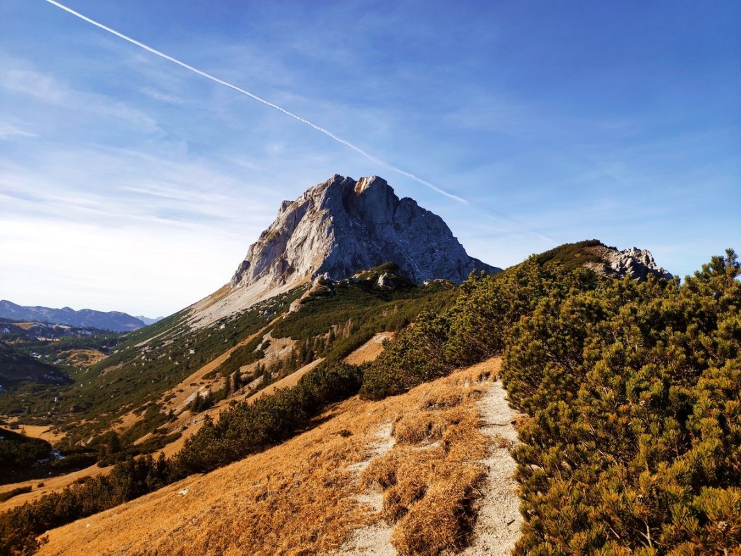 Brandstein Brandstein