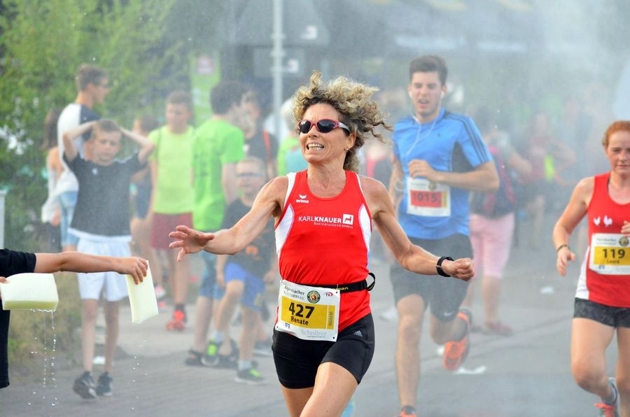 Seelbach Schwarzwald Sonnwendlauf 2017 (C) Veranstalter Seelbach Schwarzwald Sonnwendlauf 2017 (C) Veranstalter
