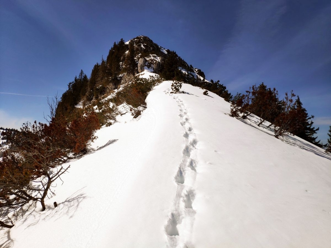 Scheibe Ostgrat Scheibe Ostgrat