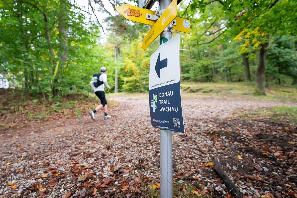 Wachau Trail 2024 (Foto: © Christian Fuernholzer) Wachau Trail 2024 (Foto: © Christian Fuernholzer)